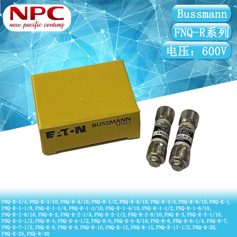 BUSSMANN慢熔延时熔断器 FNQ-R-6 6A 600V 10*38 陶瓷保险丝