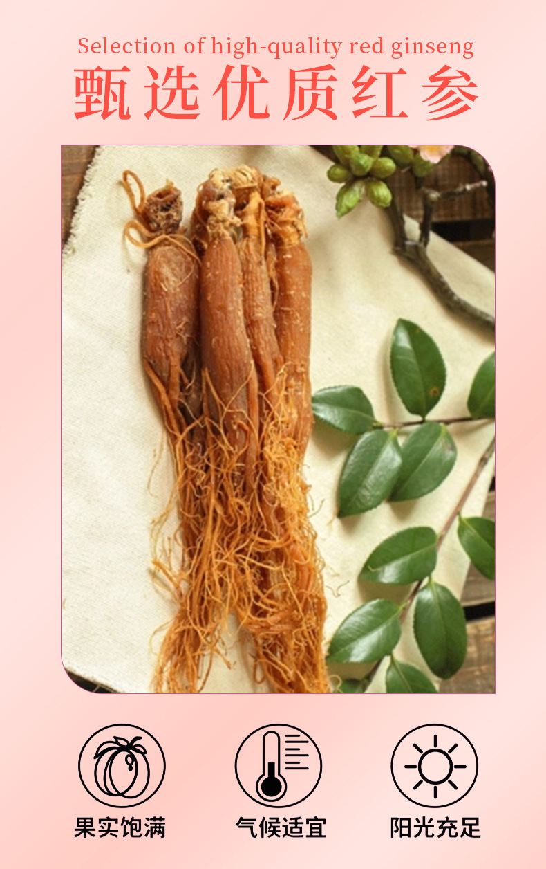 Red Ginseng & Pomegranate Herbal Drink (Panax ginseng & Punica granatum) — 300ml Concentrated Oral Liquid quality and texture