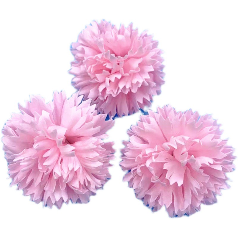 10 cabezas de flor de clavel en polvo claro