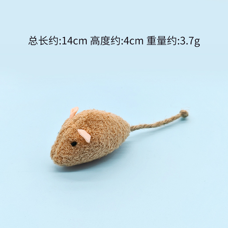 진한 갈색 쥐