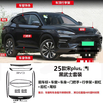 Rear Tailgate Letter Modification Wholesale, Other Car Modifications - 25-song-plusev-black-warrior-front-logo-door-handle-body-window-luggage-rack-front-bumper-rear-bumper-tail-logo-front-fog-light