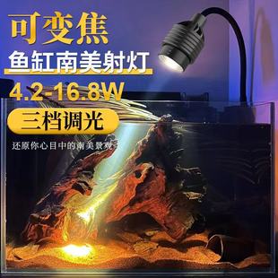 ���Sֱ�N�����~�ן�led�A��ԭ����ˮ�ݺ����쾰�����{���^�p���