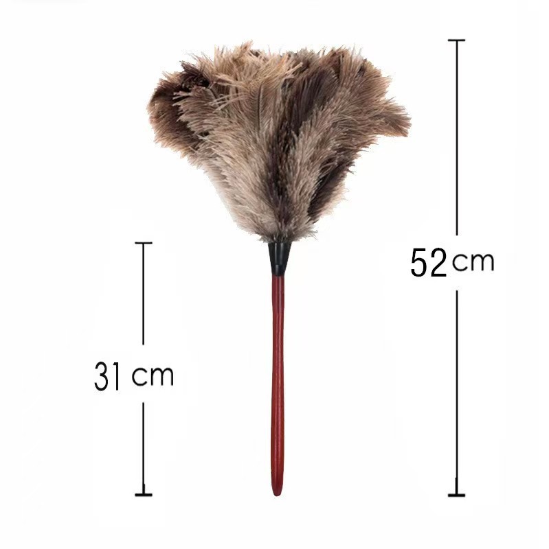 微信图片_20251028155726