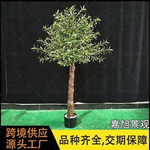 �羳��������z�U�ϙ��Ƶ��쾰�Ҿ��b��R�d�������ϙ�����