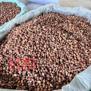 �t��ޢ �tޢ 1kg�t�� �t�� ������ ��ș�������{�ϴ�ȫ��؛