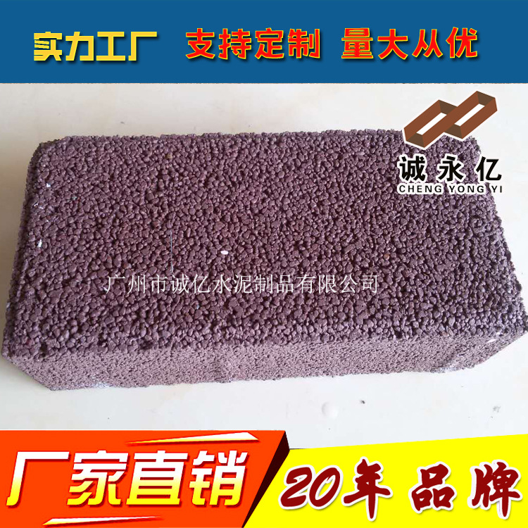珠海直供250*125*50政府机关单位 人行道彩色荷兰砖 道步透水砖