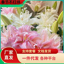 һ�����l���m�M�ڰٺϷN���ذ��̨����ͥԺ�ɵ�����������ļ���