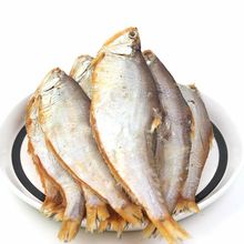 Sa~500gͿSAR~ɺr؛С~ëSa~