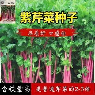 �ϼt���۷N�� �t�۲˷N����ɫ�������߲��̨�ѷN��⼚�۲˷N��