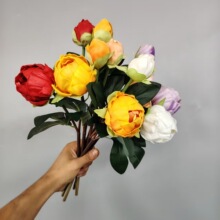 3�^ĵ���Wʽ��о���滨PUĵ�����Ҿӻ�c�b羳����õ��ٻ�