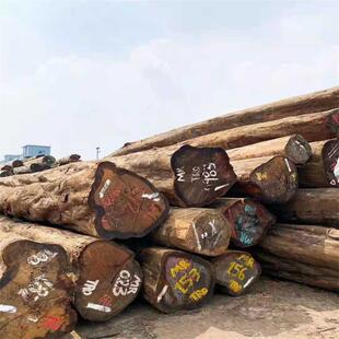 ���ҸۏS���M�ڷ����ľ �����S���ľ �ľԭľ�Ҿ���