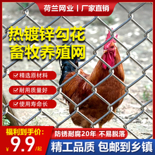 ����\�F�z�W���Bֳ����Ȧţ���u�����@���x���o䓽z�W���P�����W