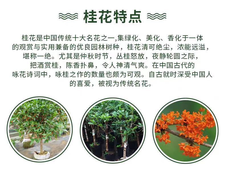 1f895c2d-2e61-48fd-a11f-5c702773ebdc.jpe