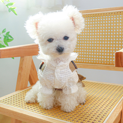 Pet Clothes Dog Clothing Spring and Autumn Teddy Bichon Pomeranian Khaki Windbreaker Couple Clothing Coat Dress