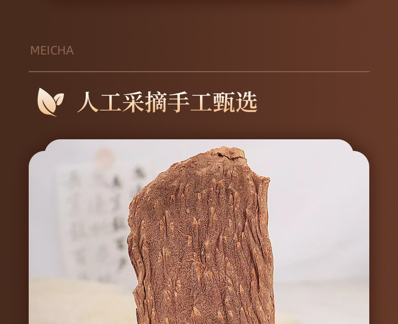 Cynomorium Songaricum Suo Yang Dried Slices Premium Inner Mongolia Herb 100g Jar key features