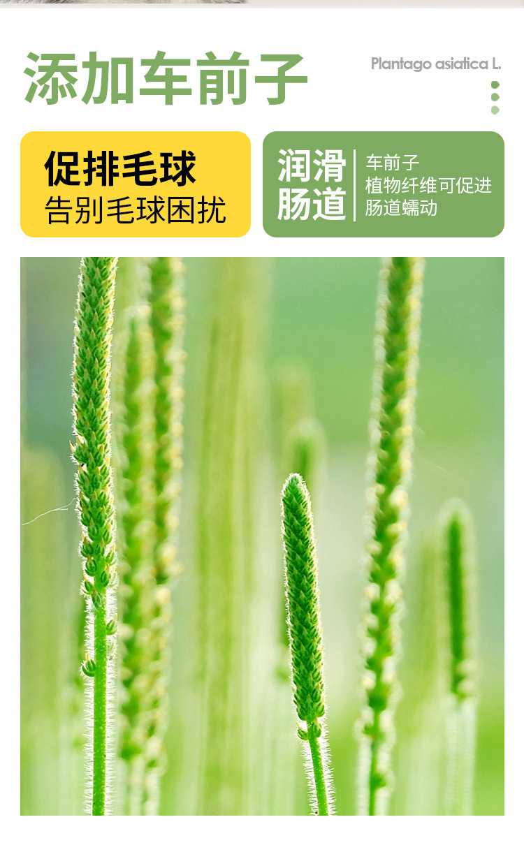 0a2cb67f-ba91-405d-8de6-388afb7e4fef.jpe