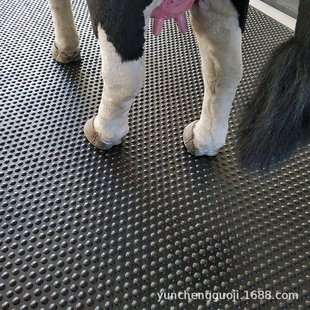 Horse shed cattle farm non-slip rubber board pig sow insulation pad skin protection pig house cloth rubber pad Yuncheng
