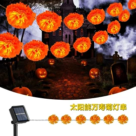 室内LED;室外LED;LED装饰灯