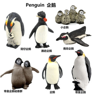 �羳���挍��PVCҰ������ģ�͵ۻ����Z�������Z��ͯ���ɽ̾ߔ[��