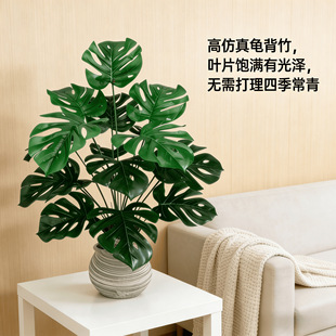 �羳���W�L����Gֲ�ؙ������������쾰�Ҿ��b[�O�٘侰�^�G��