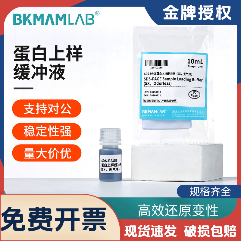 比克曼生物蛋白上样缓冲液SDS-PAGE还原型电泳实验Loading buffer