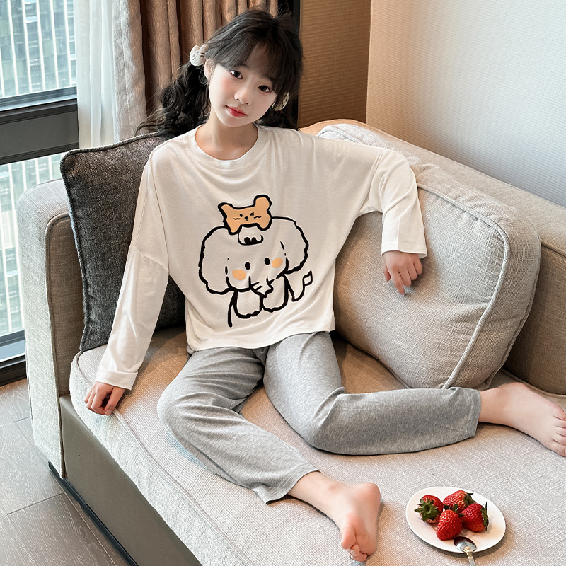 505 모달 코끼리