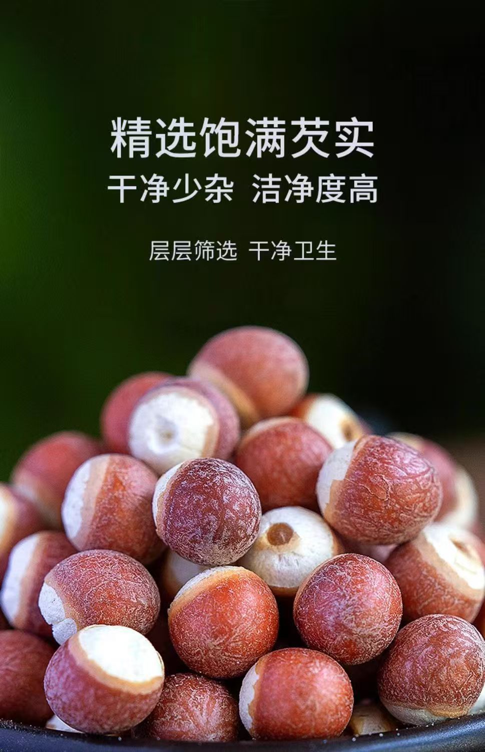 Dried Gorgon Fruit Qian Shi Euryale Ferox Seeds 100g Bottle for Soup Congee and Herbal Tea key features