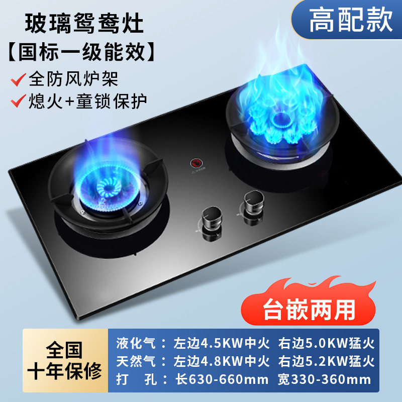 Taitai ガスストーブ ダブルストーブ 家庭用天然ガスストーブ 埋め込み式液化ガスストーブ ガスストーブ 強火ストーブ|undefined