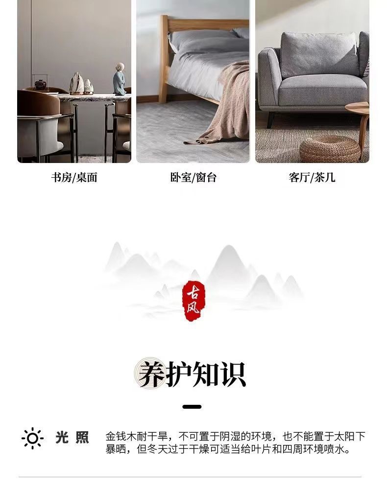 d5fb965c-cf21-4325-a96e-08630231bceb.jpe
