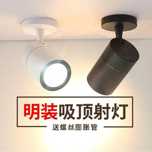 Clothing Store Dimming Ceiling Spotlight Led Ceiling Light Shop Commercial Super Bright Ceiling Cob Spotlight Background Wall Factory