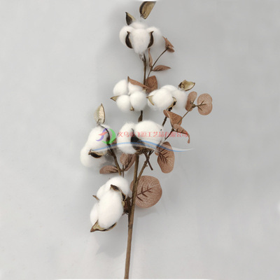 5头棉花干花花束 60cm咖啡叶尤加利棉花枝永生花跨境圣诞家居装饰