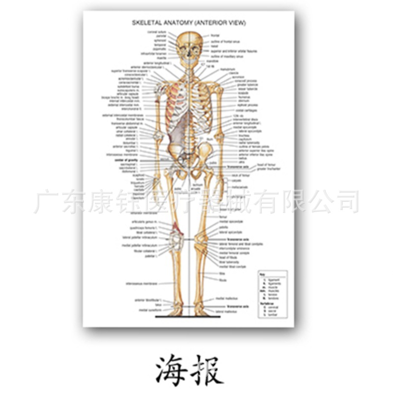 商品图