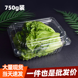Fruit packaging box with lid disposable fresh food grade packaging box transparent packaging box a batch of 750g