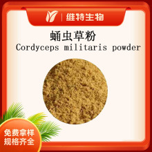 Ӽ�x�ݷ�Cordyceps militaris powder�Fĥ 80Ŀ ���Sɫ ���x�ݷ�