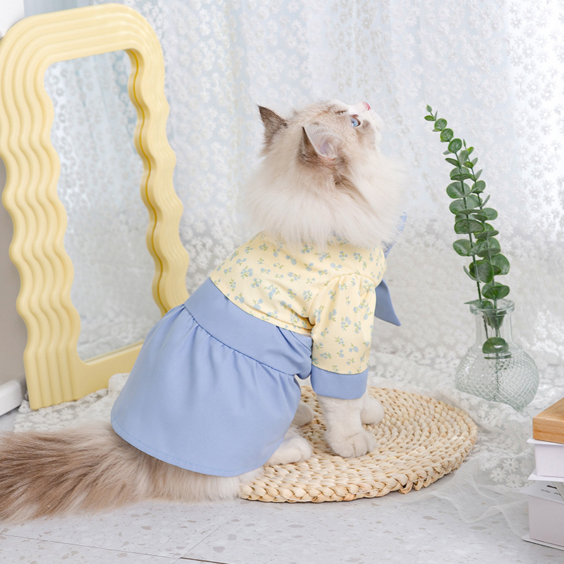 Primavera y verano nuevo títere de dos piezas Gato Azul gatito Correa delgada falda perro mediano y pequeño perro ropa para mascotas