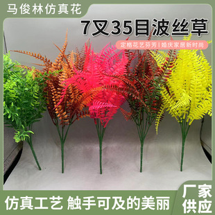 羳 ˹7ˮݰާֲPβXާŲݷGֲ