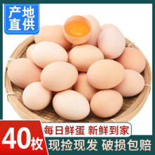 ����ɢ�B���r���u��40ö�����u���r�Ҳ��u�����������u�����u��