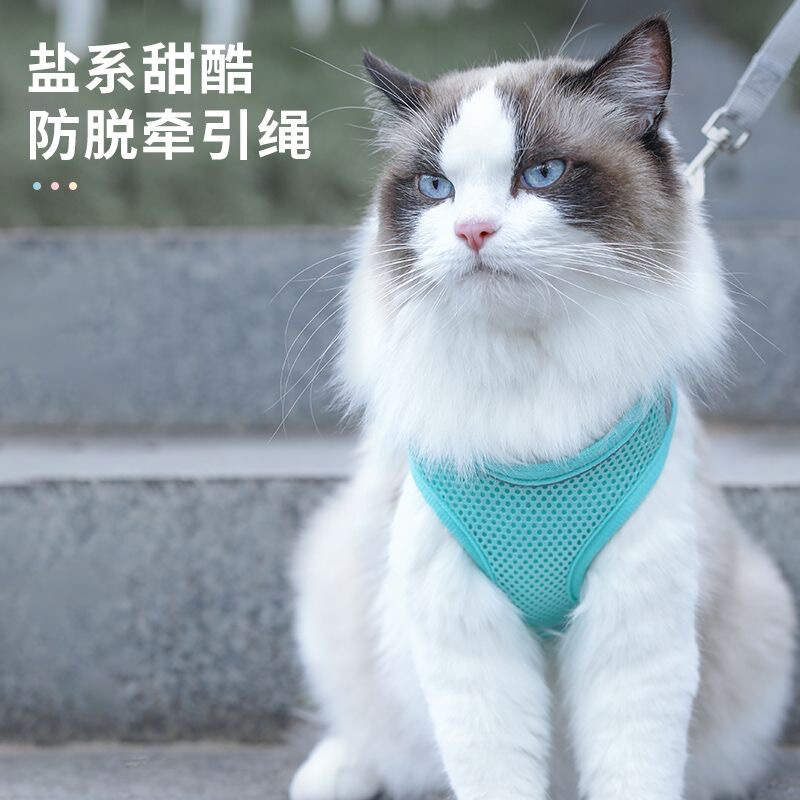猫咪牵引绳可调节溜猫牵引绳猫绳子猫牵引防挣脱外出专用宠物背带|undefined