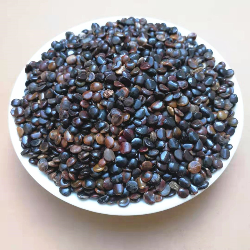 Zhi Ju Zi Dried Hovenia Dulcis Seeds 500g Traditional Chinese Herbal Ingredient for Cooking and Decoction quality and texture