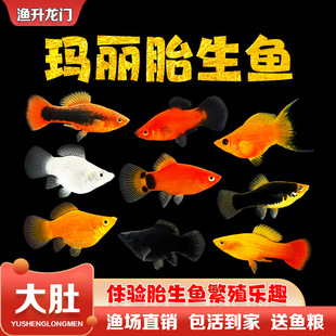 ̥���~���w�����~��ˮ�^�p�~�����ֳ��ĸ��ȸ������С�͟Ꭷ�~