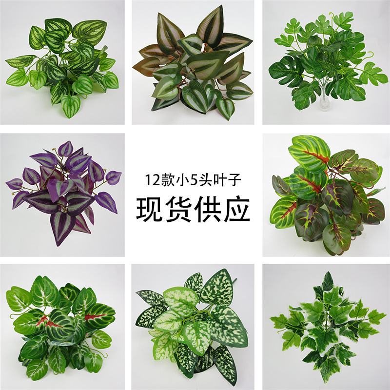 详情图