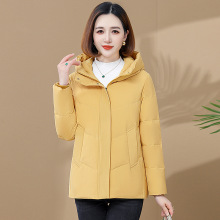 �ߙn���b2025�¿�Ů�b��q���r�аٴ�����q�̿��Bñ����һ�����l