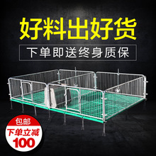 仔猪保育床限位栏产床复合板小猪用加厚连体母猪保育栏养猪设备