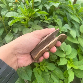 军事模型;射击射箭用品;体育产品加工