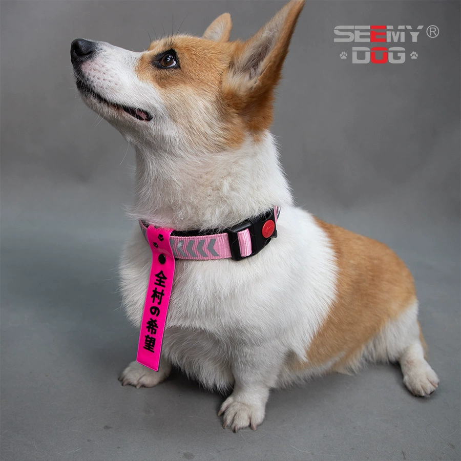 Пятно трансграничное средство для больших, средних и маленьких собак, универсальное, с защитой от потери и записи, светоотражающий стример для домашних животных, брендовая марка, защита от потери