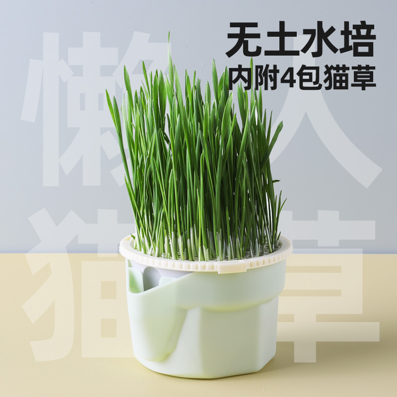 Mori Cat Grass Cup Potted Wheat Rye Seedling Cup Soilless Hydroponic Hairy Dog Grass Kitten Mint Lazy Man Self-growing