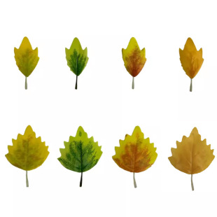 Simulation Plant Populus euphratica Leaf Green Plant Maple Poplar Leaf Interior Decoration Shooting Set Holiday Leaves Factory Outlet