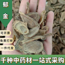 优选新货郁金中药材批发无硫广郁金各种规格大货批发包邮
