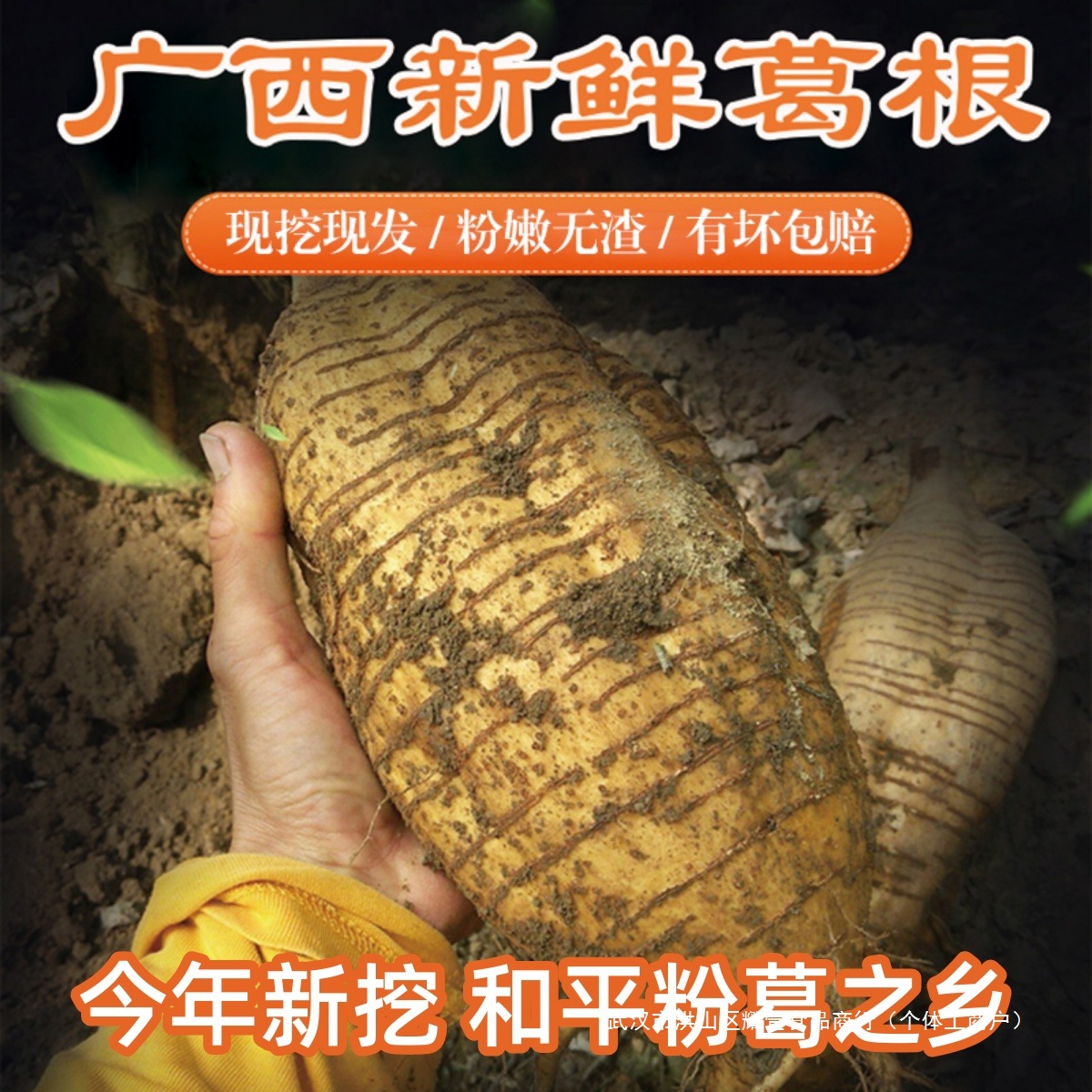 葛根新鲜广西和平粉葛无渣现挖大山野葛薯广东煲汤解酒生5斤包邮