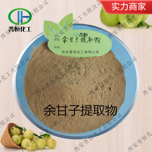 余甘子提取物 余甘子多酚 余甘子粉、 工厂现货| 包邮 植物余甘子